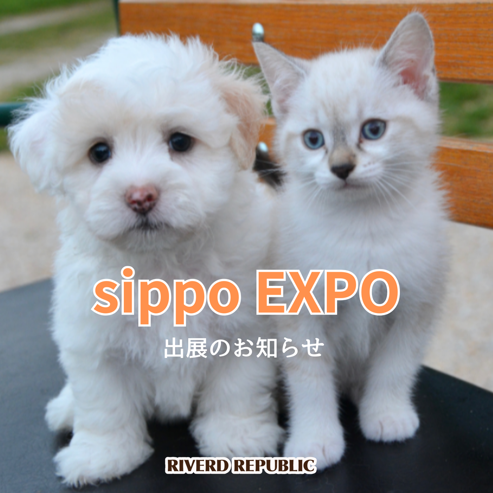 🐕「sippo EXPO」に出展いたします🐱