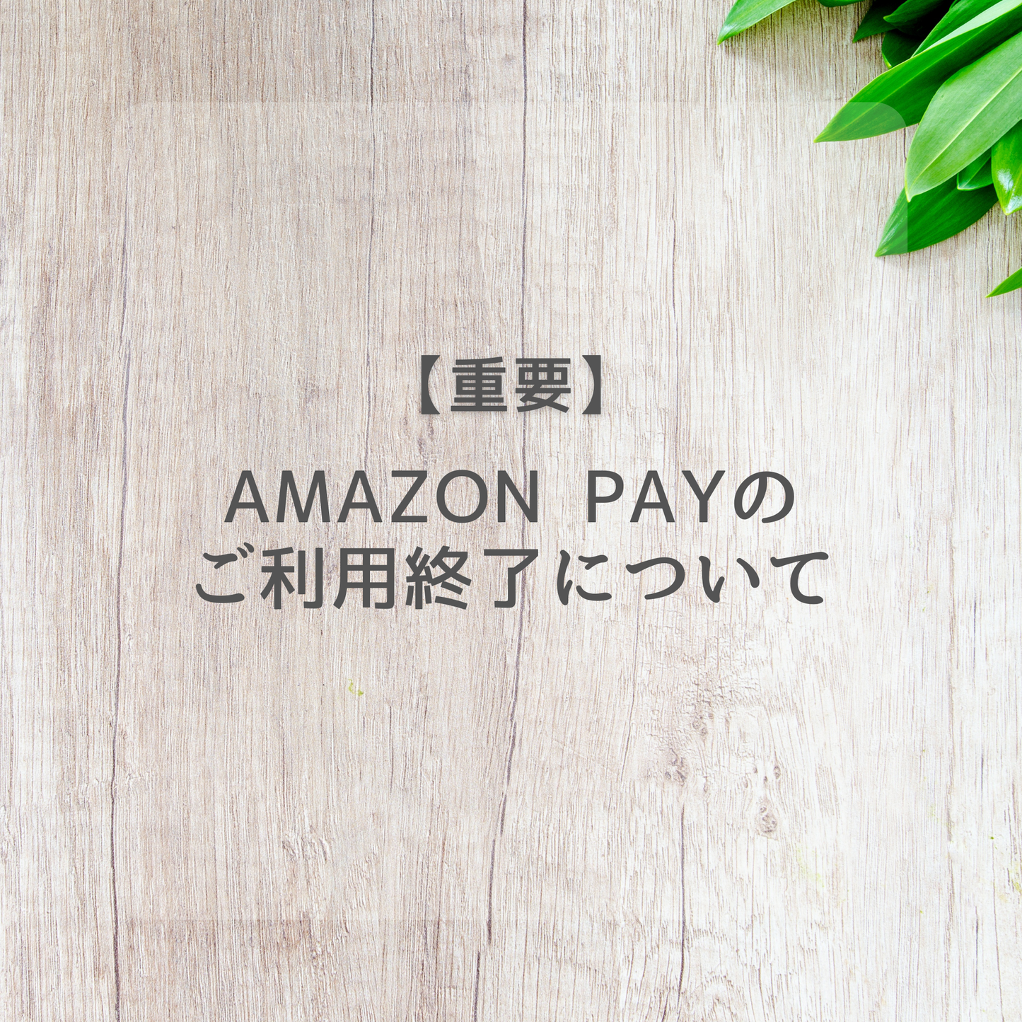 Amazon Payのご利用終了について